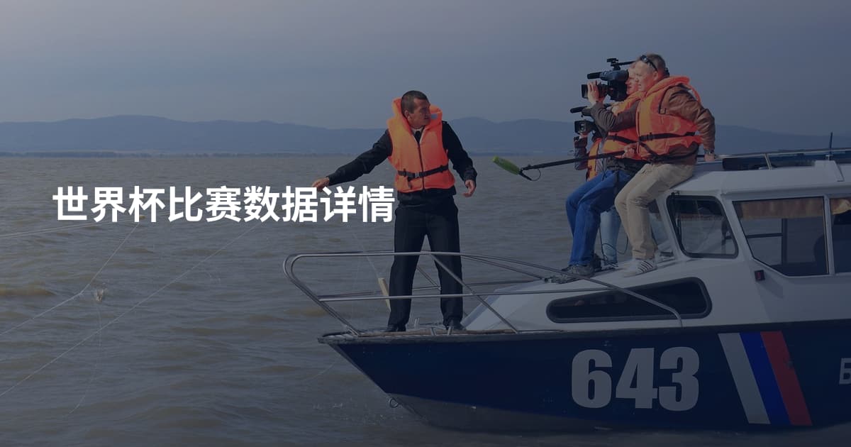 世界杯比赛数据详情