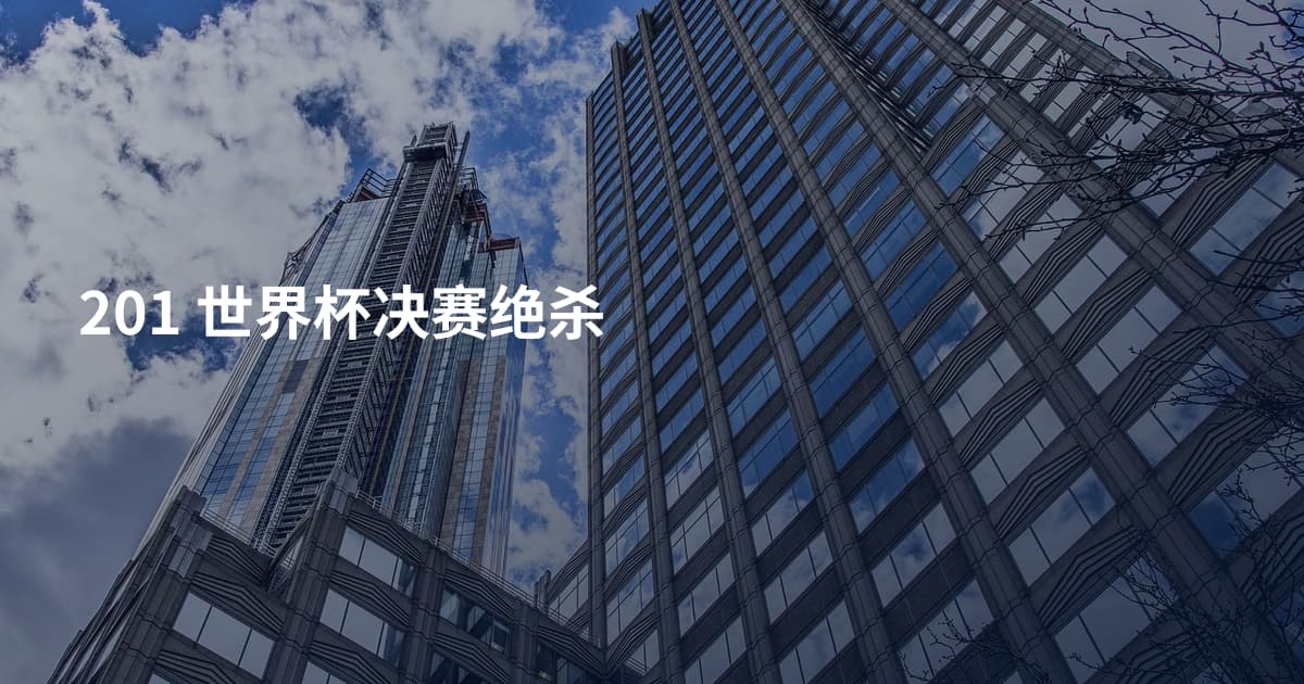201 世界杯决赛绝杀