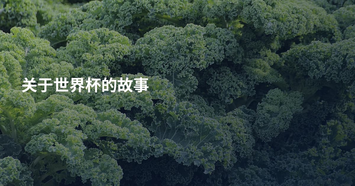 关于世界杯的故事