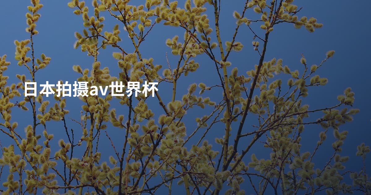 日本拍摄av世界杯