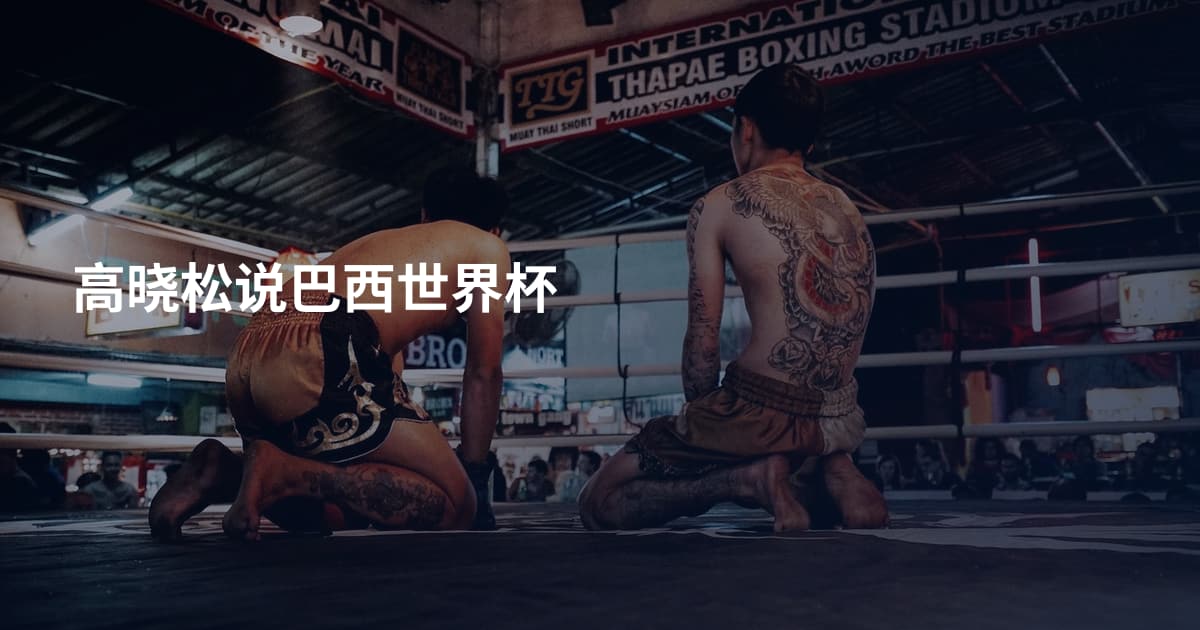 高晓松说巴西世界杯