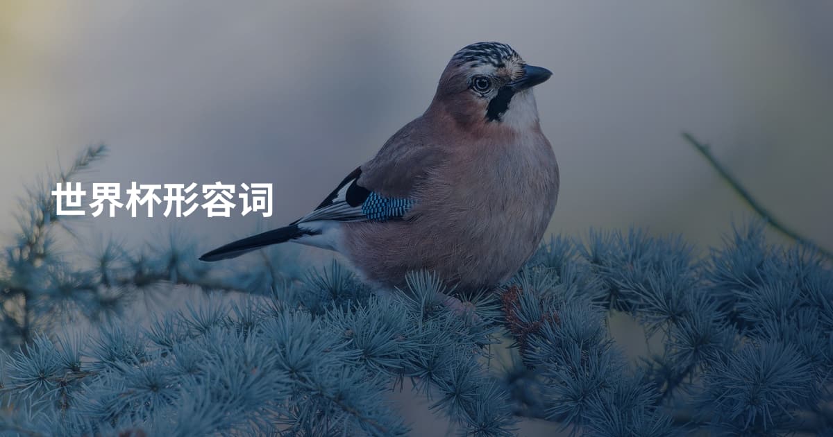 世界杯形容词