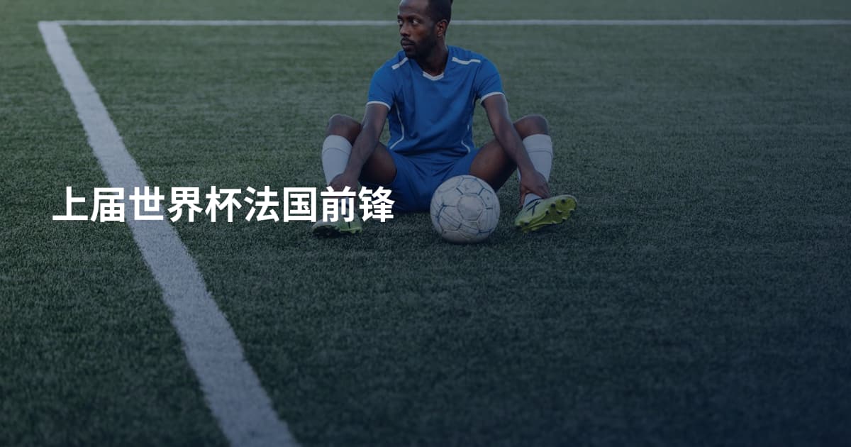 上届世界杯法国前锋