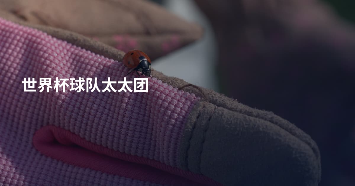 世界杯球队太太团