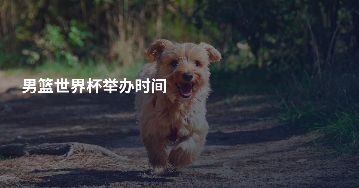 男篮世界杯举办时间