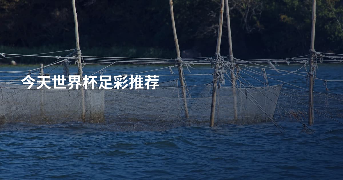 今天世界杯足彩推荐