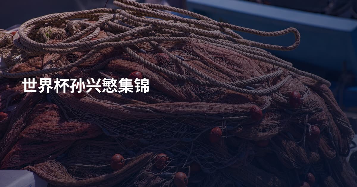 世界杯孙兴慜集锦