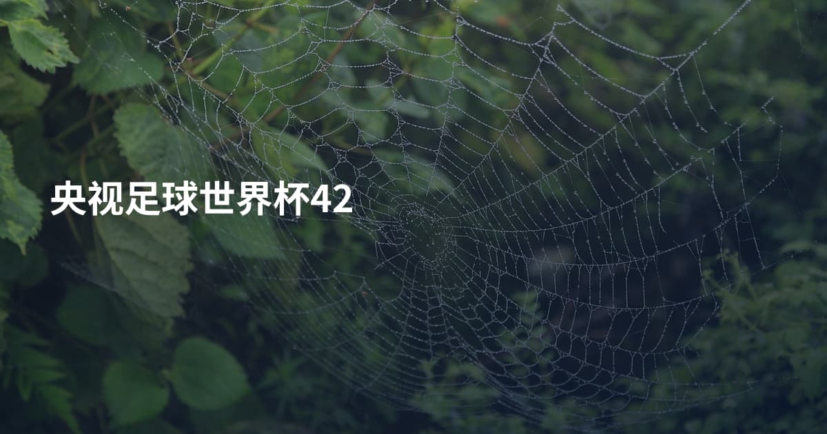 央视足球世界杯42
