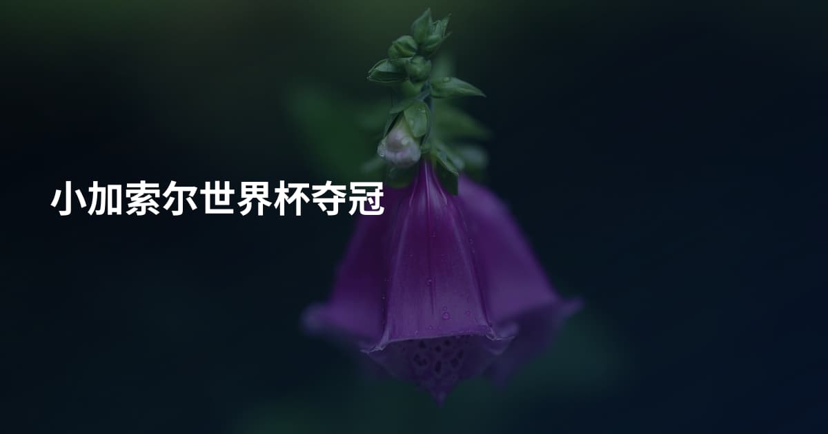 小加索尔世界杯夺冠