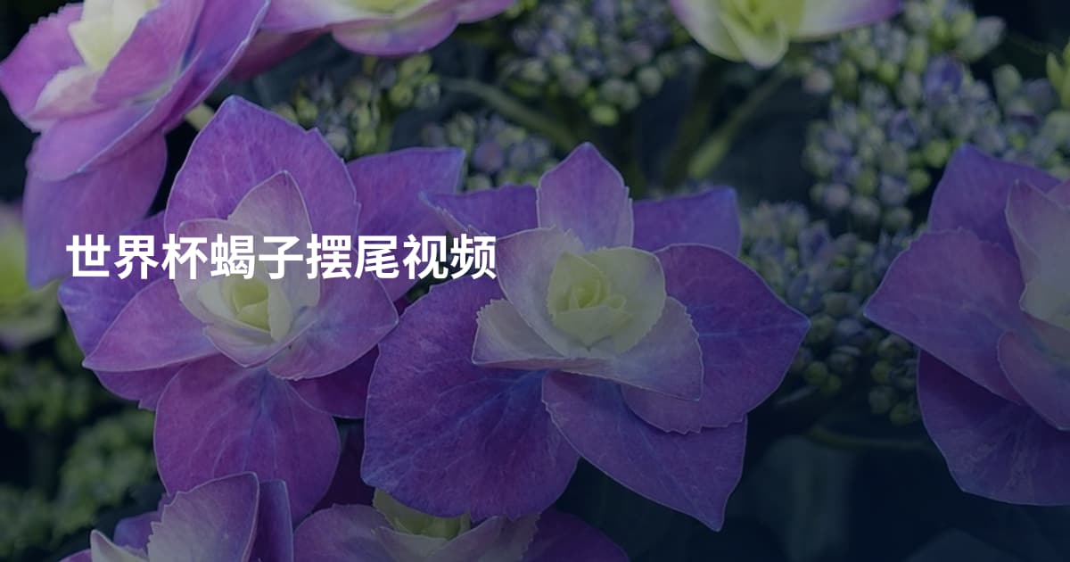 世界杯蝎子摆尾视频