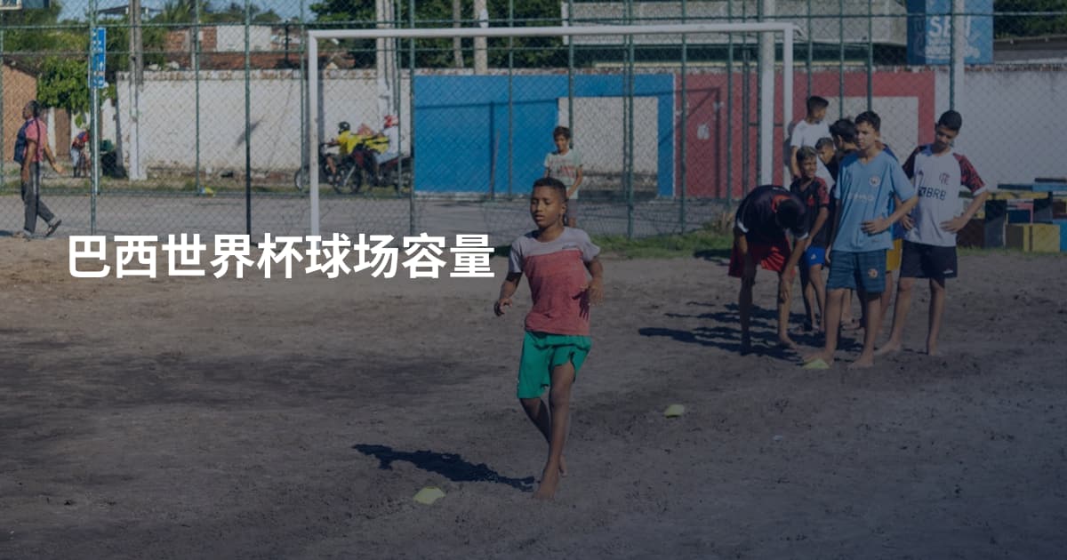 巴西世界杯球场容量