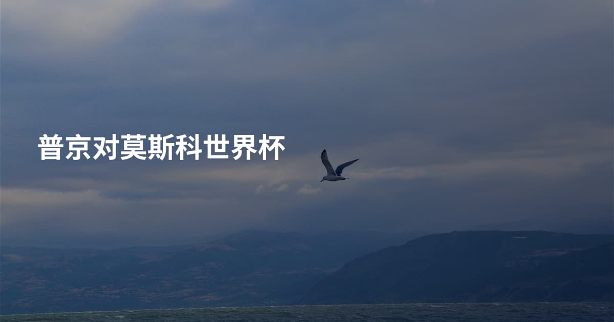普京对莫斯科世界杯