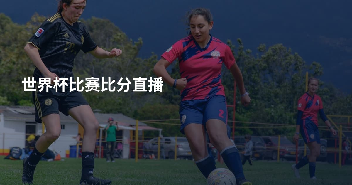 世界杯比赛比分直播