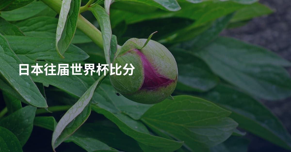 日本往届世界杯比分