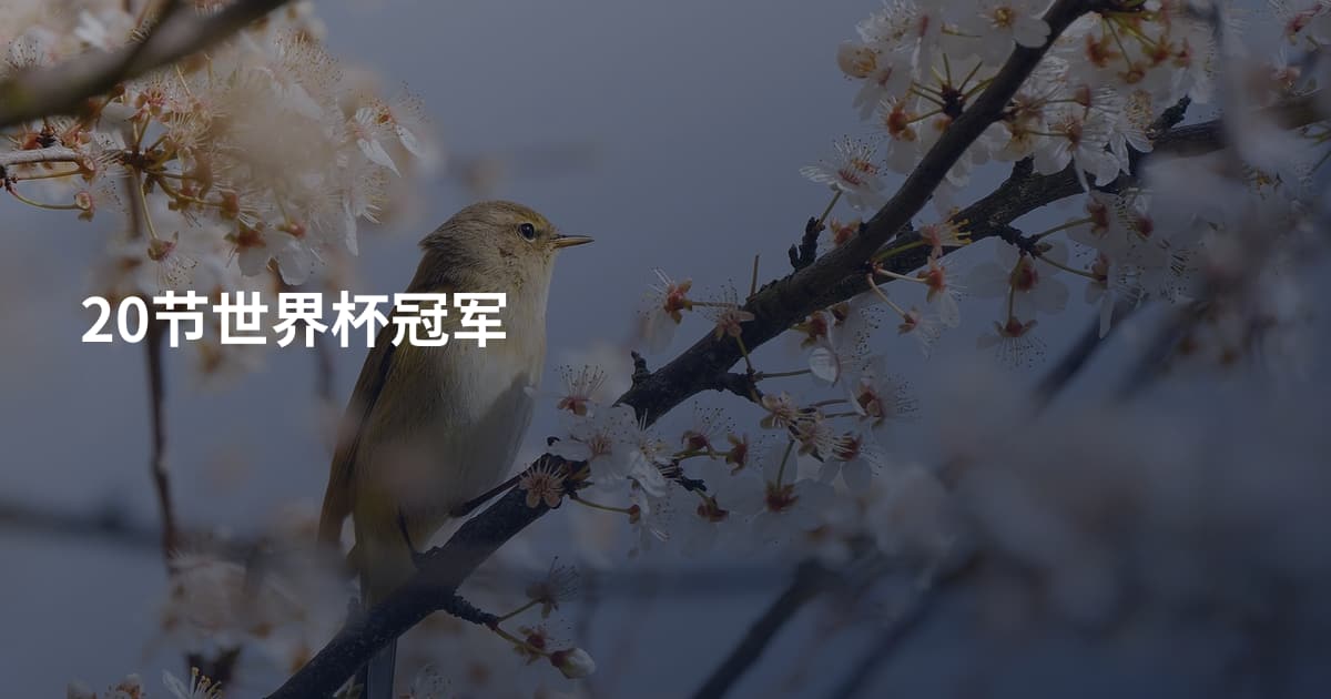 20节世界杯冠军