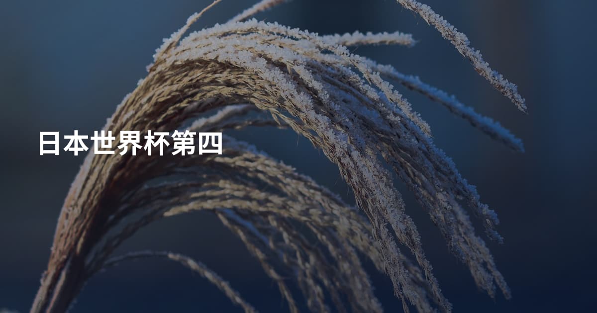日本世界杯第四