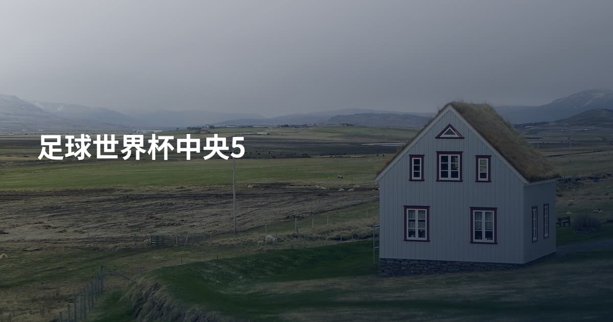 足球世界杯中央5