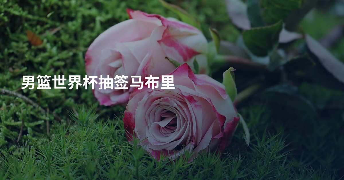 男篮世界杯抽签马布里