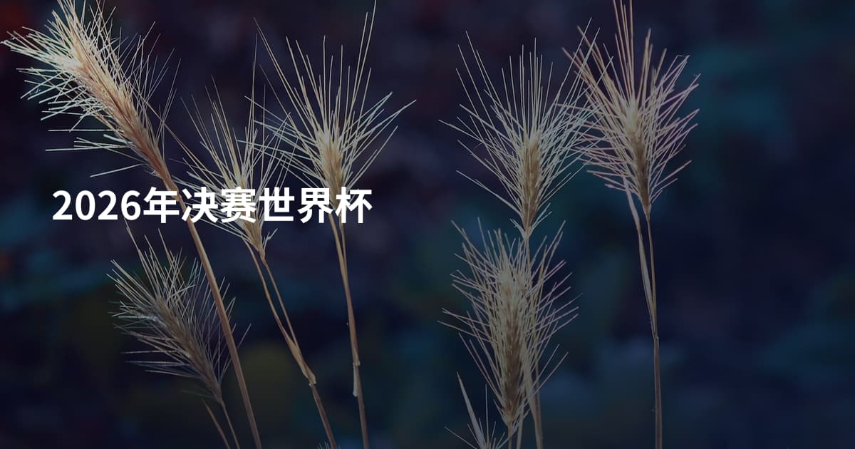 2026年决赛世界杯