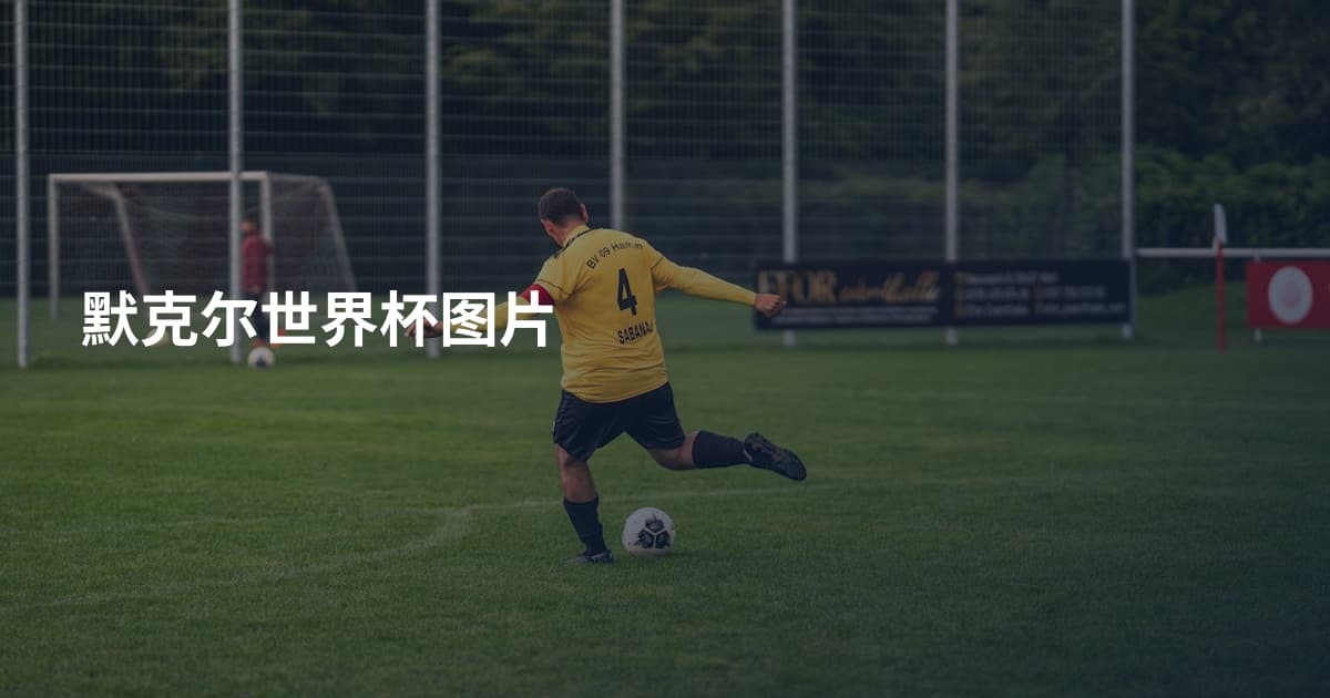 默克尔世界杯图片