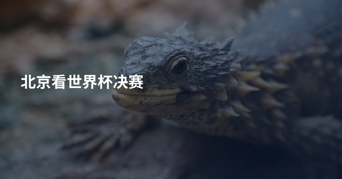 北京看世界杯决赛