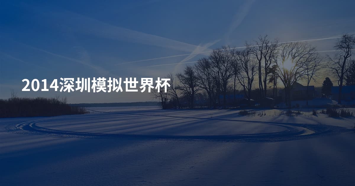 2014深圳模拟世界杯