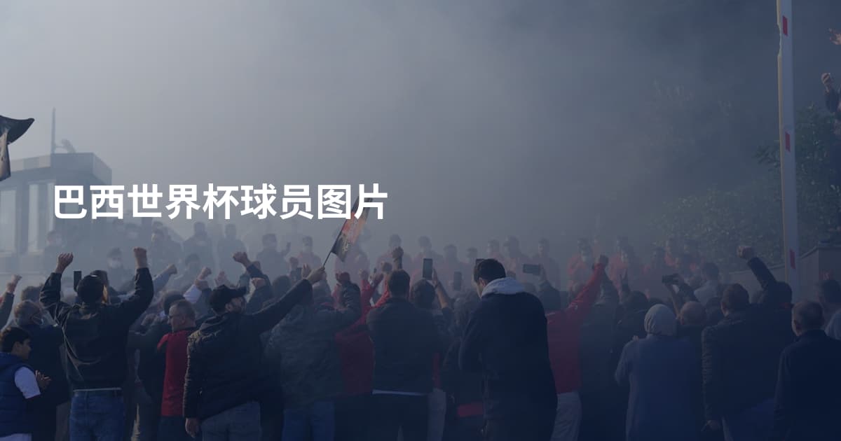 巴西世界杯球员图片
