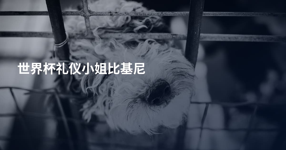 世界杯礼仪小姐比基尼