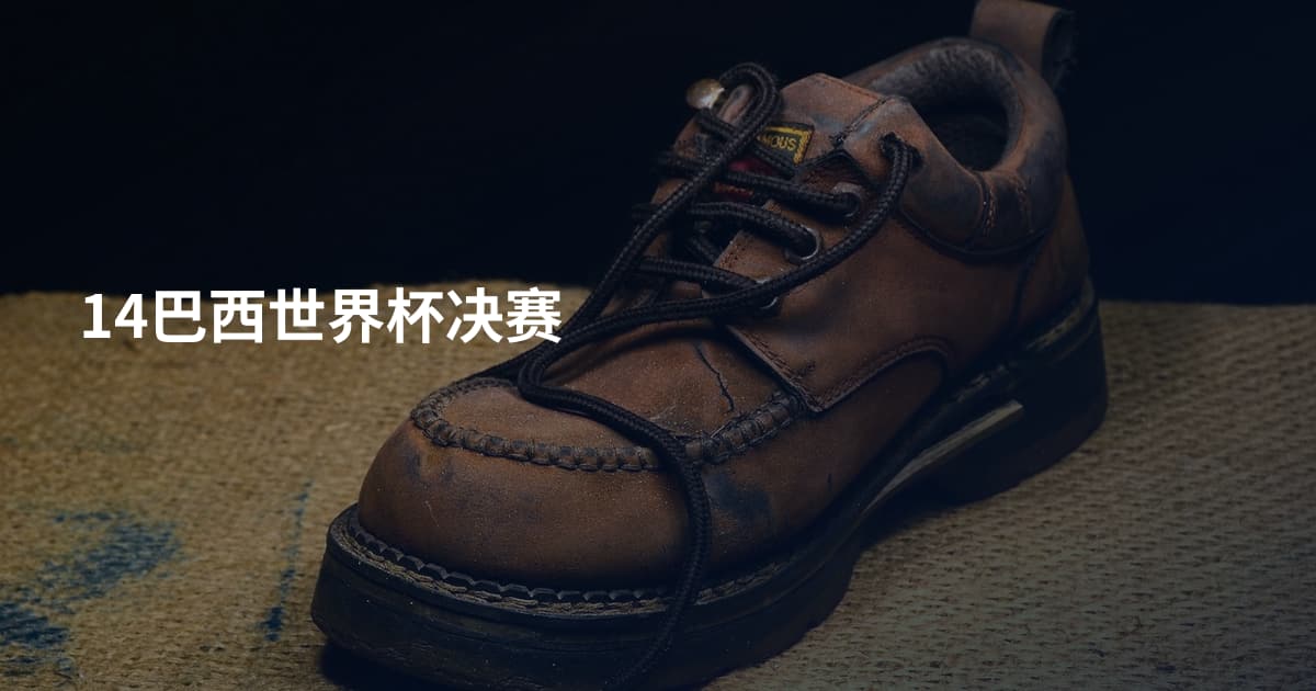 14巴西世界杯决赛