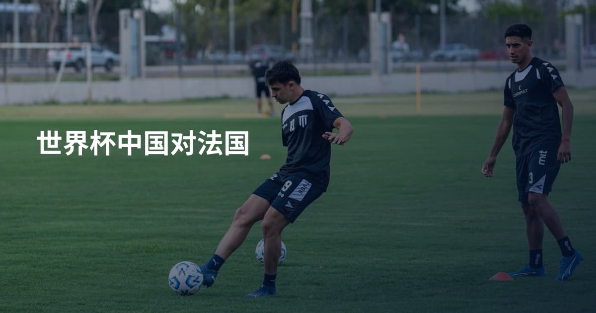 世界杯中国对法国