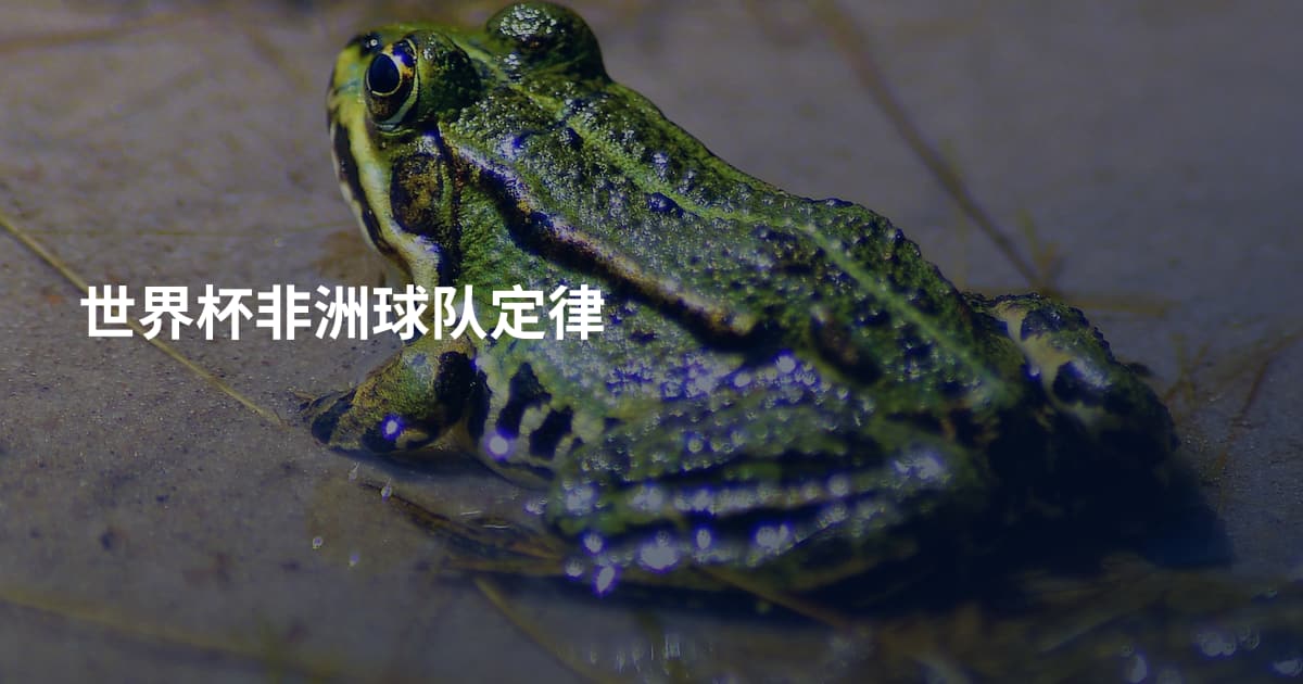 世界杯非洲球队定律