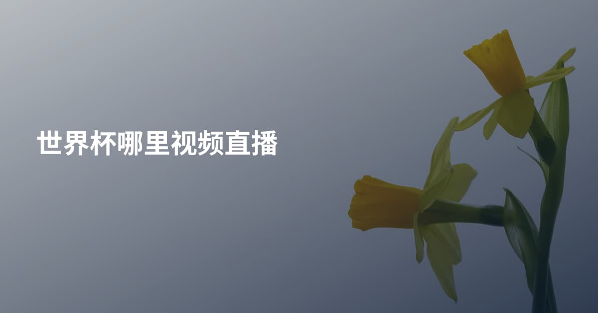 世界杯哪里视频直播