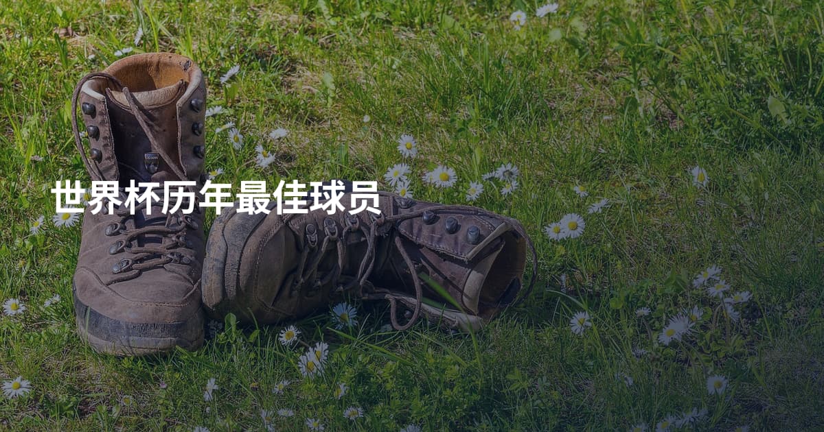 世界杯历年最佳球员