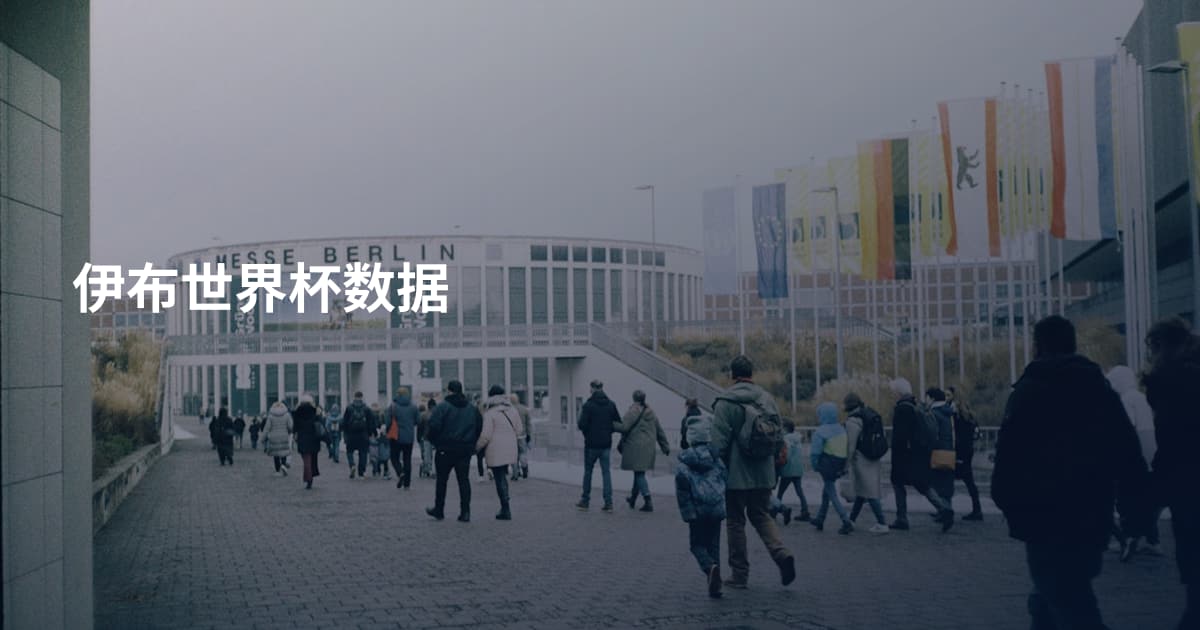 伊布世界杯数据