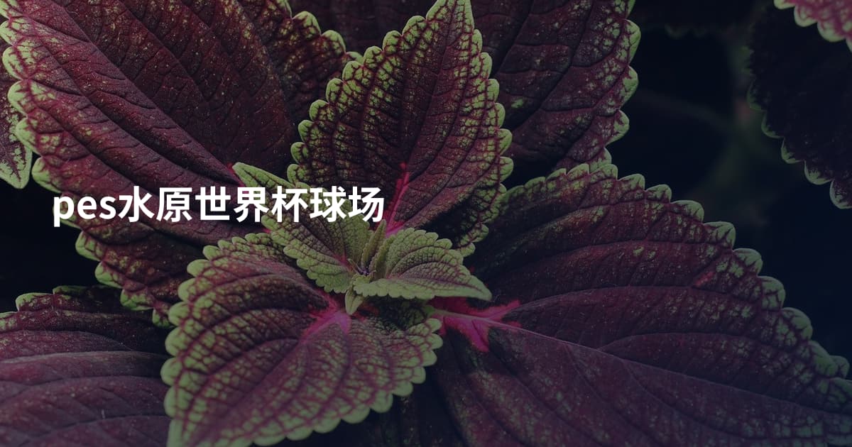 pes水原世界杯球场