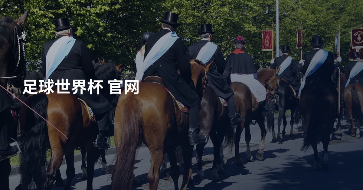 足球世界杯 官网