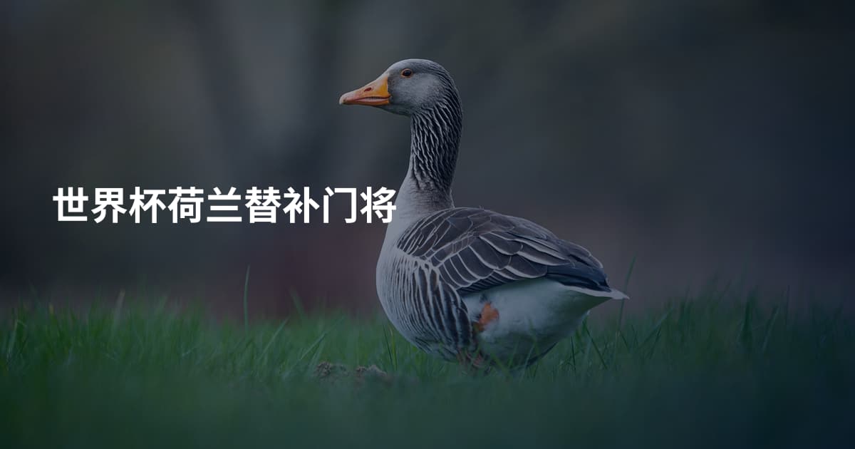 世界杯荷兰替补门将