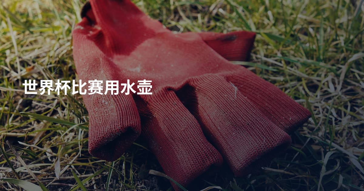 世界杯比赛用水壶