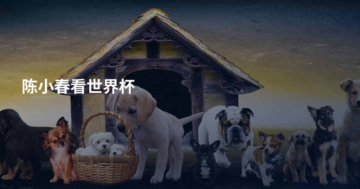 陈小春看世界杯