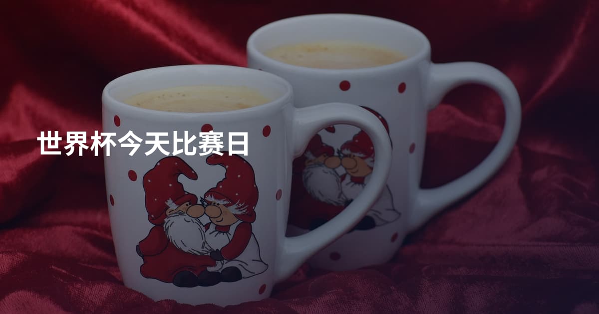 世界杯今天比赛日