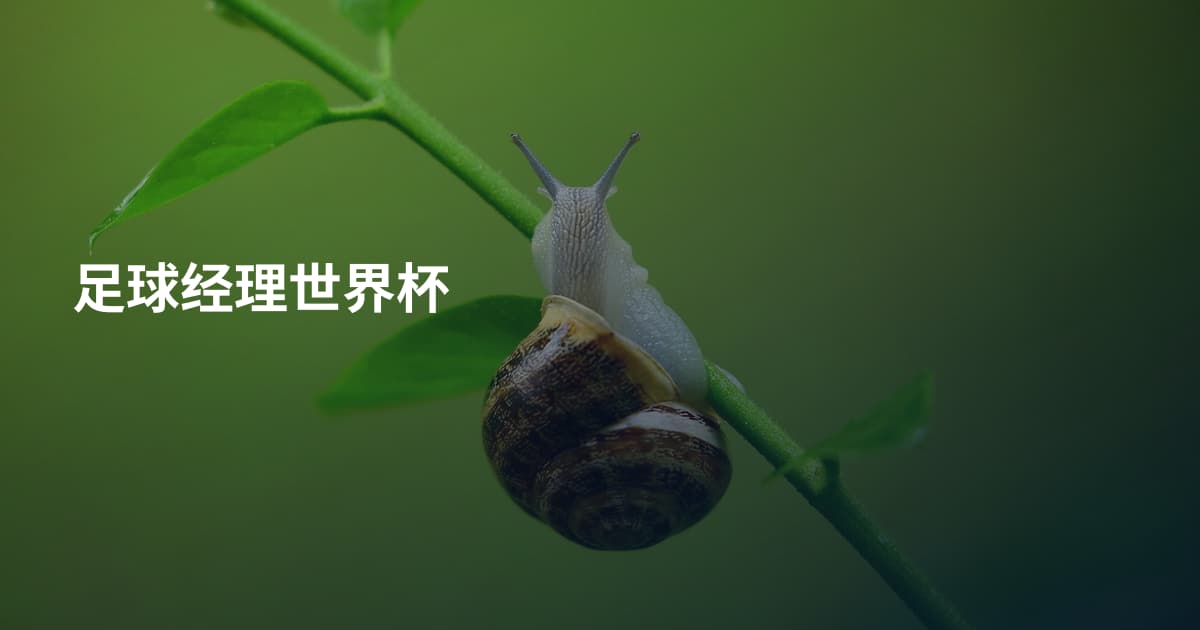足球经理世界杯