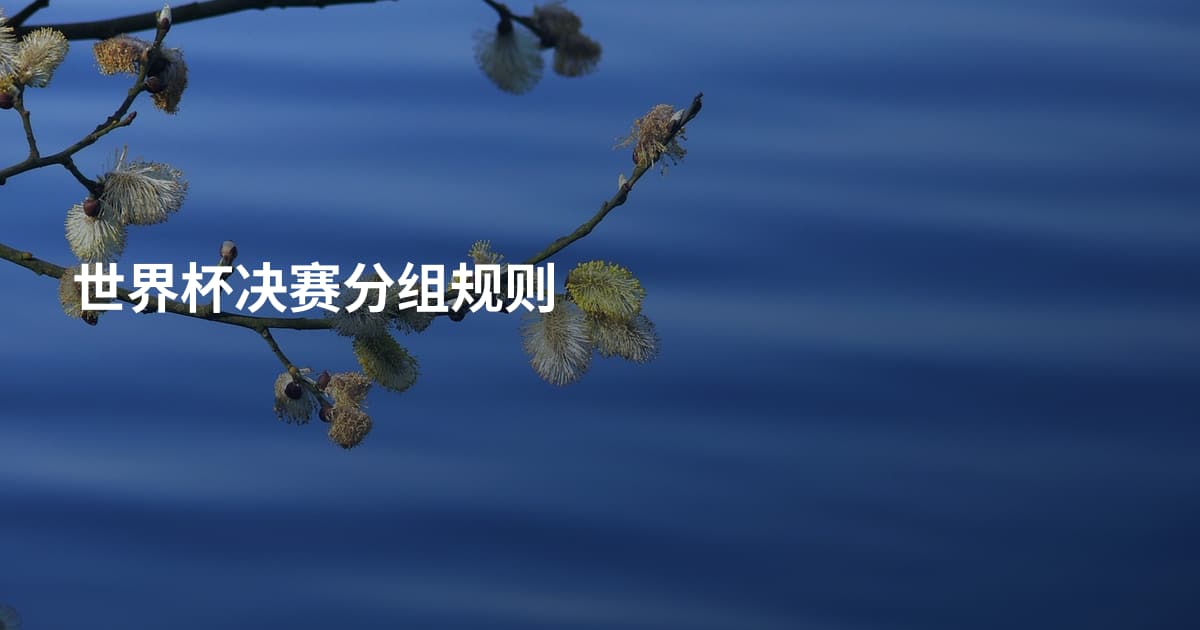 世界杯决赛分组规则