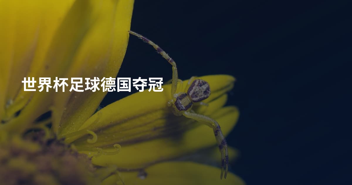 世界杯足球德国夺冠
