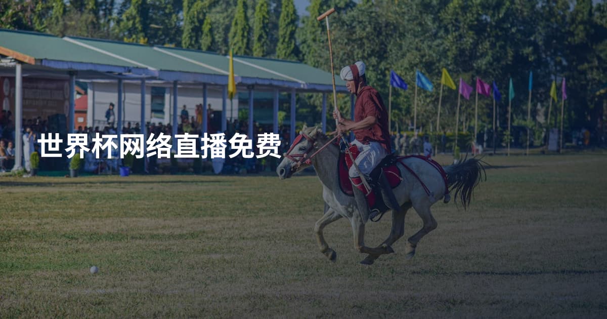 世界杯网络直播免费