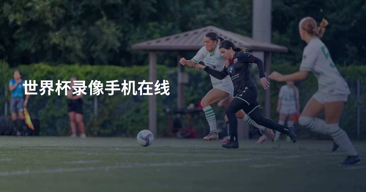 世界杯录像手机在线