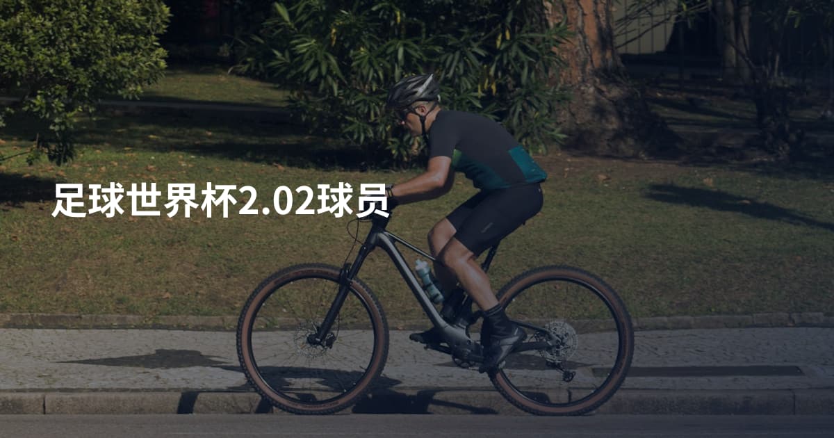 足球世界杯2.02球员