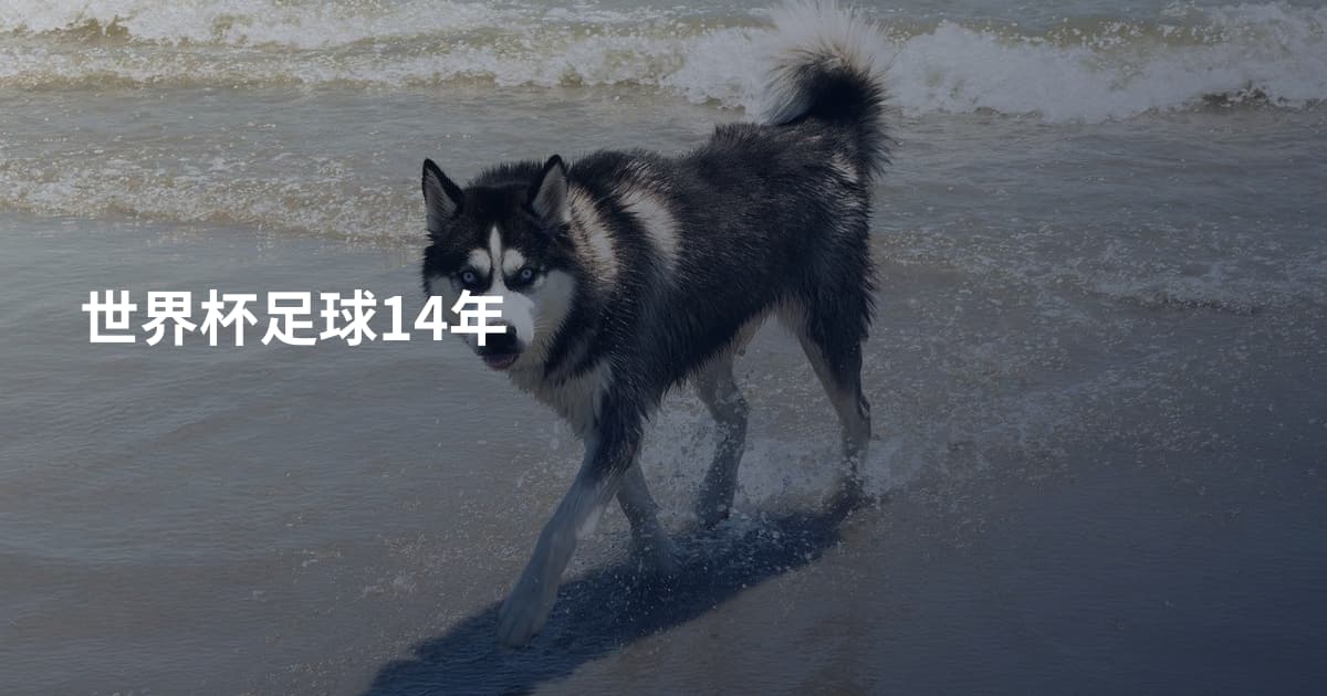 世界杯足球14年