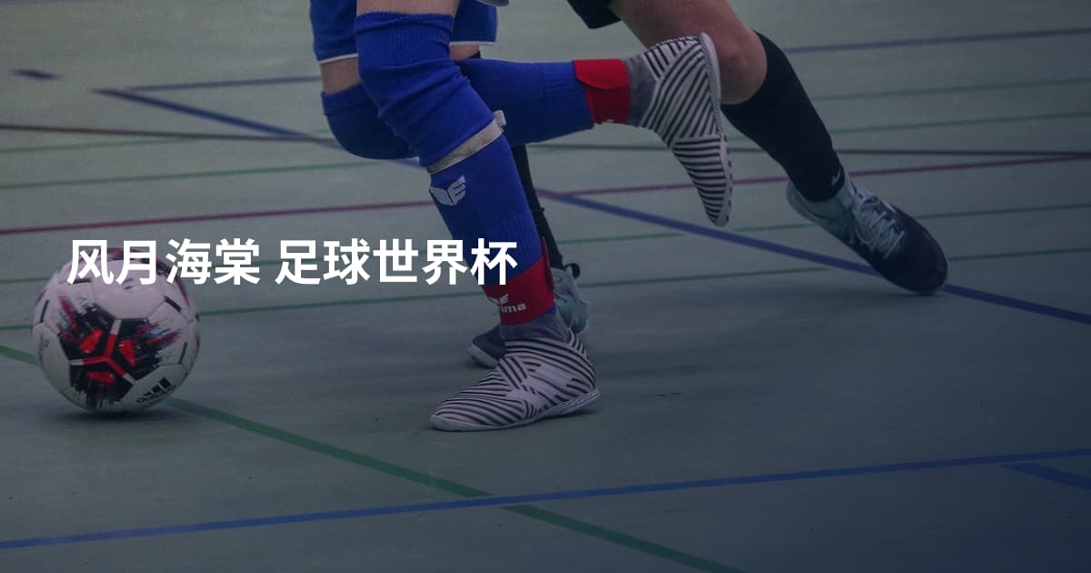 风月海棠 足球世界杯