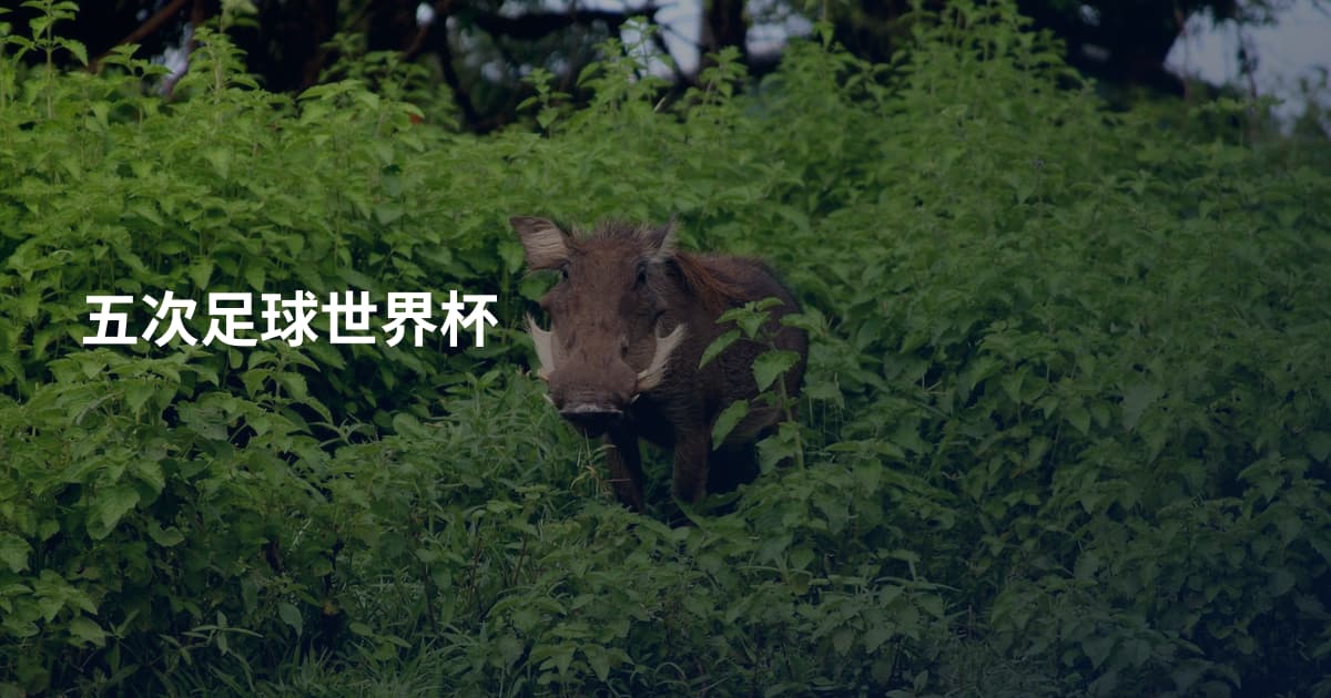 五次足球世界杯