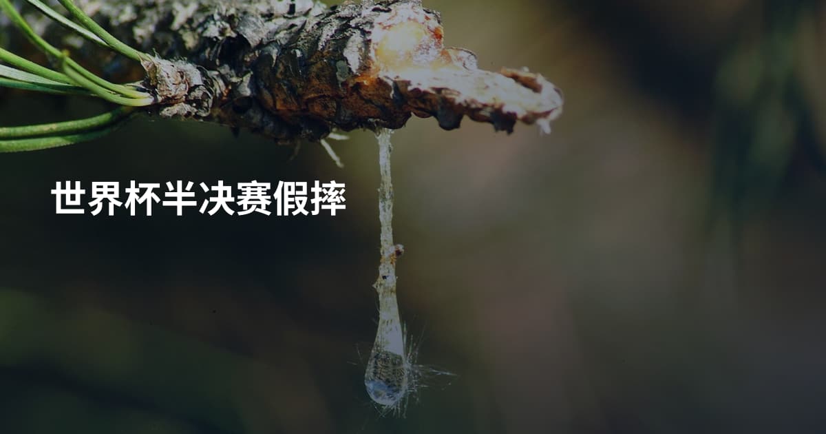 世界杯半决赛假摔